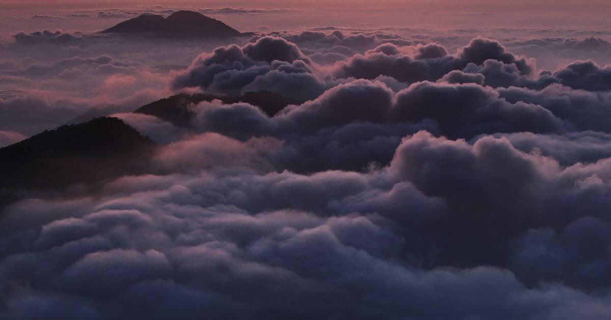 How is Jesus a little lower than the angels (Psalm 8:5; Hebrews 2:7)?