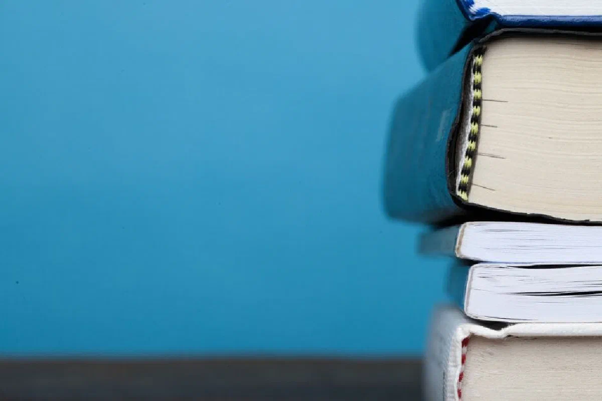 What does metaethics study?