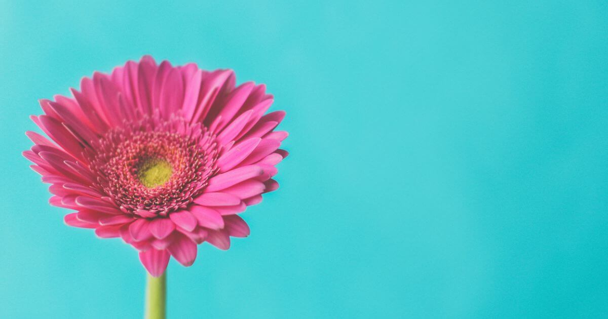 Monism — What is it?