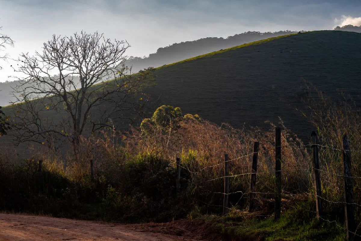 Captivating sunrise illuminating rolling green hills and a rustic fence line, creating a serene rural landscape.