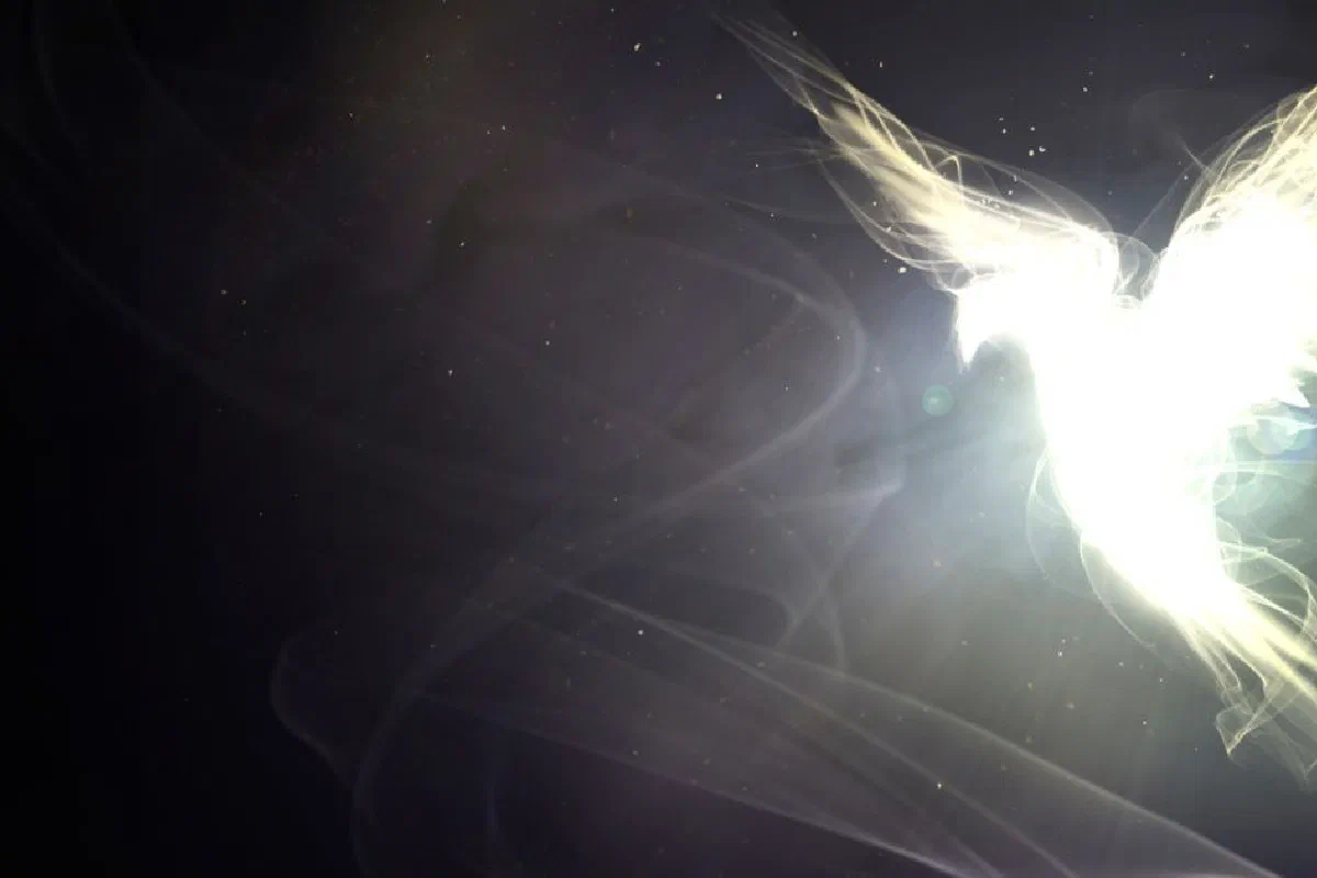 What names and titles does the Bible use for the Holy Spirit?