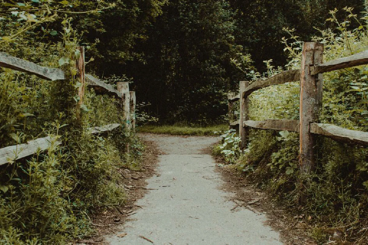 What is the narrow gate? How narrow is the narrow gate?