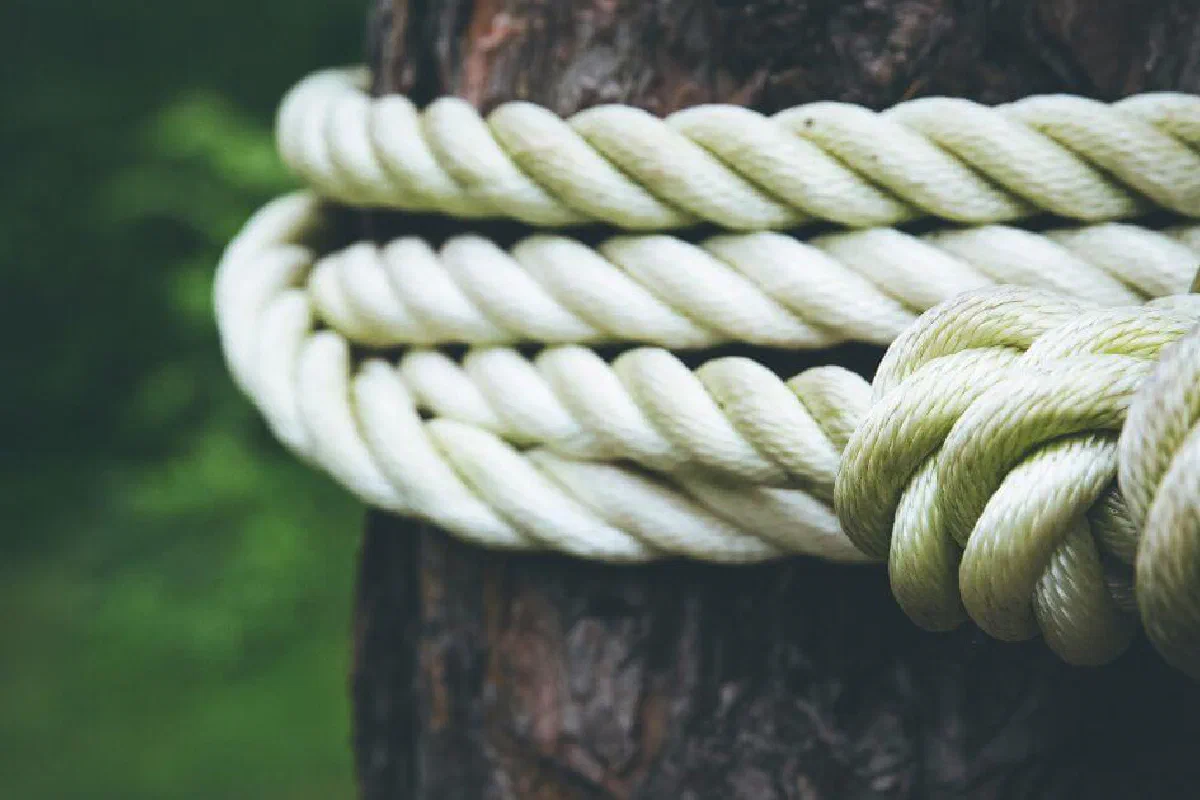 What does natural law teach?