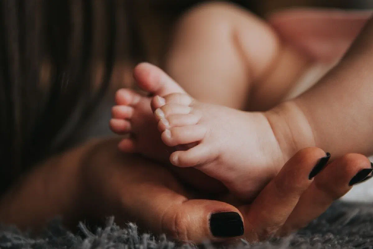 What is the new birth?