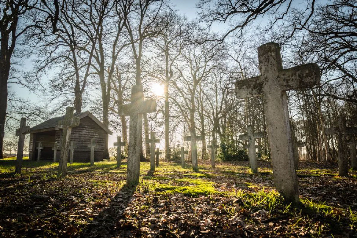 Peaceful graveyard in Ommerschans, Netherlands with sunlight filtering through bare trees and crosses.