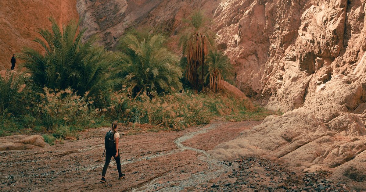 Is once saved, always saved a biblical concept?