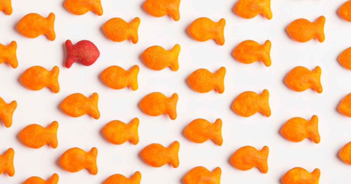 What does 'only begotten Son' mean? How is Jesus God's only begotten Son?