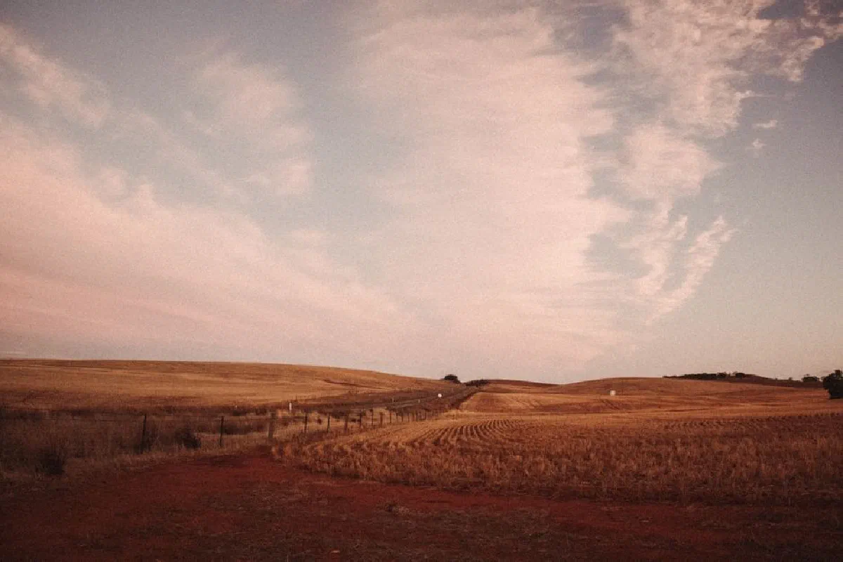 Capture of a serene sunset over an expansive, empty field with a warm, earthy tone.