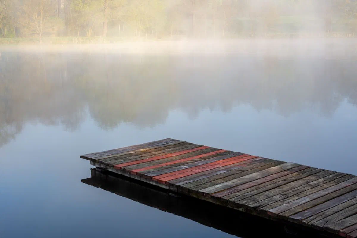 A tranquil view of a wooden dock extending into a foggy lake surrounded by green trees.