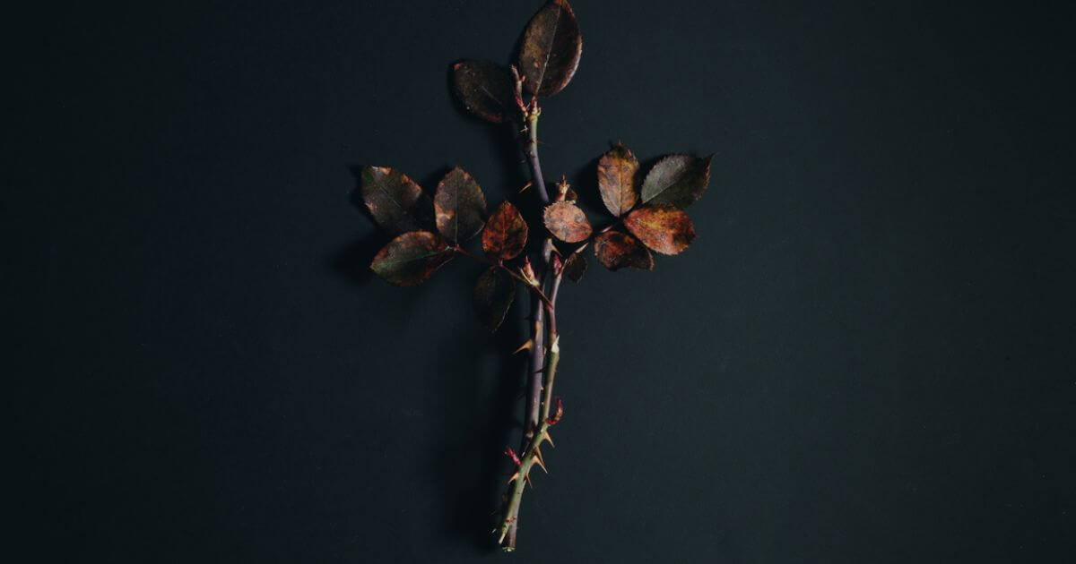 What is the relationship between physical death and spiritual death?