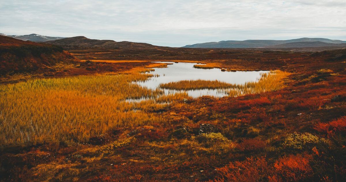 What are some of the promises of God in the Bible?