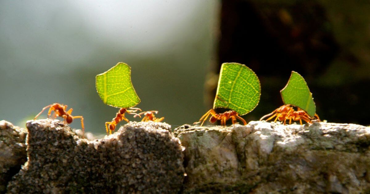 What is the proof for God? Is there any conclusive proof of God?