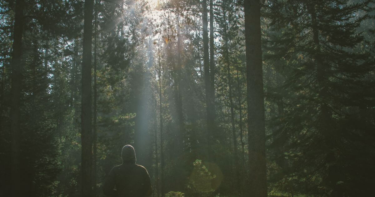 What is a Christian rededication? Should I rededicate my life to Christ?