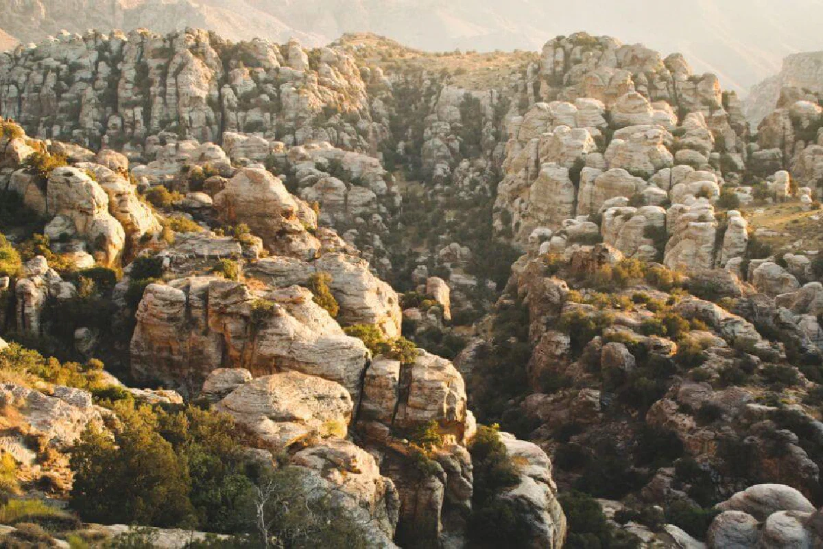 What does it mean that 'the rocks will cry out' in Luke 19:40?