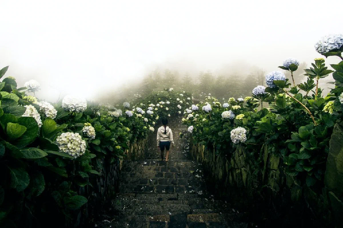 What is sanctifying grace?
