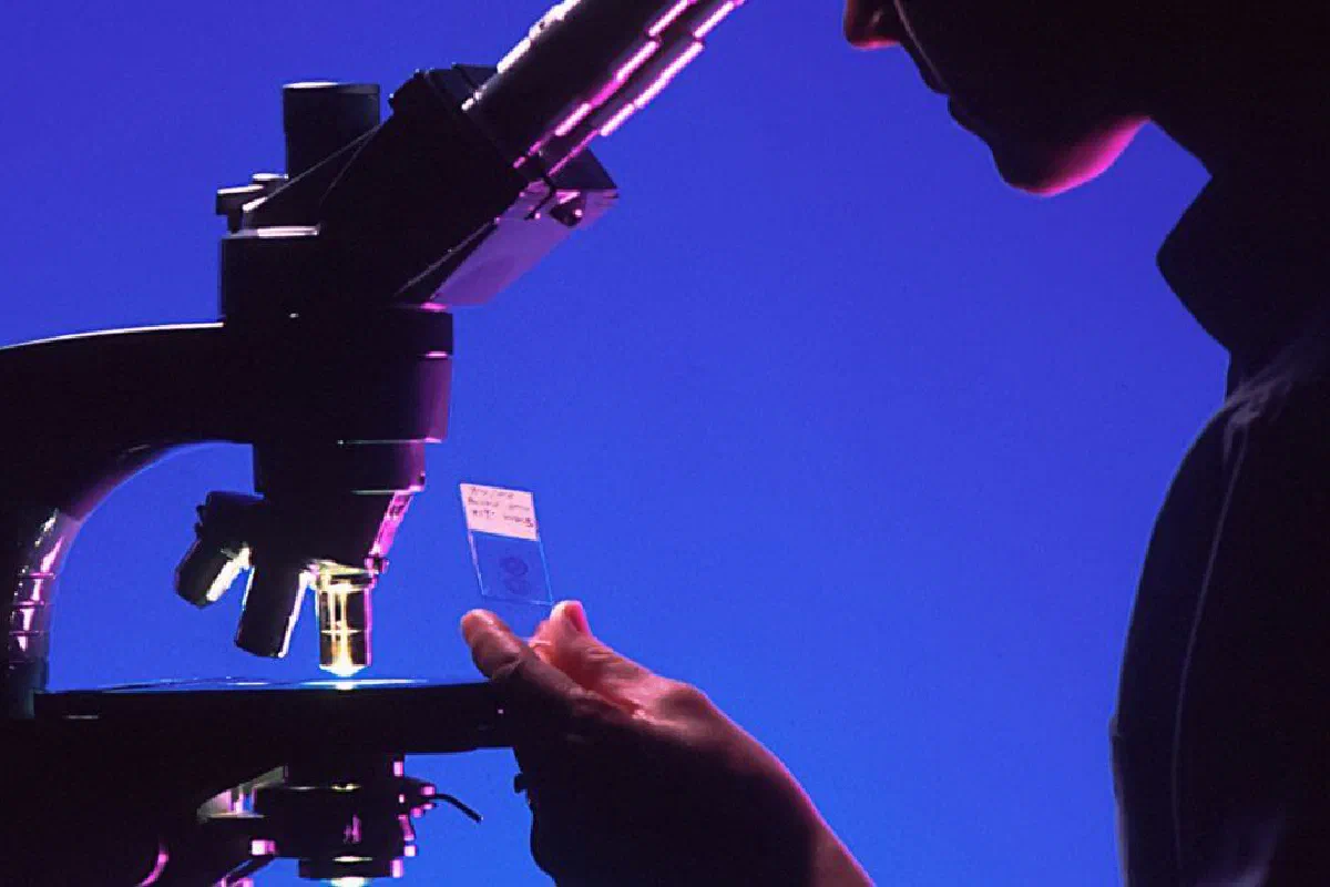 Why don't scientists believe in God?