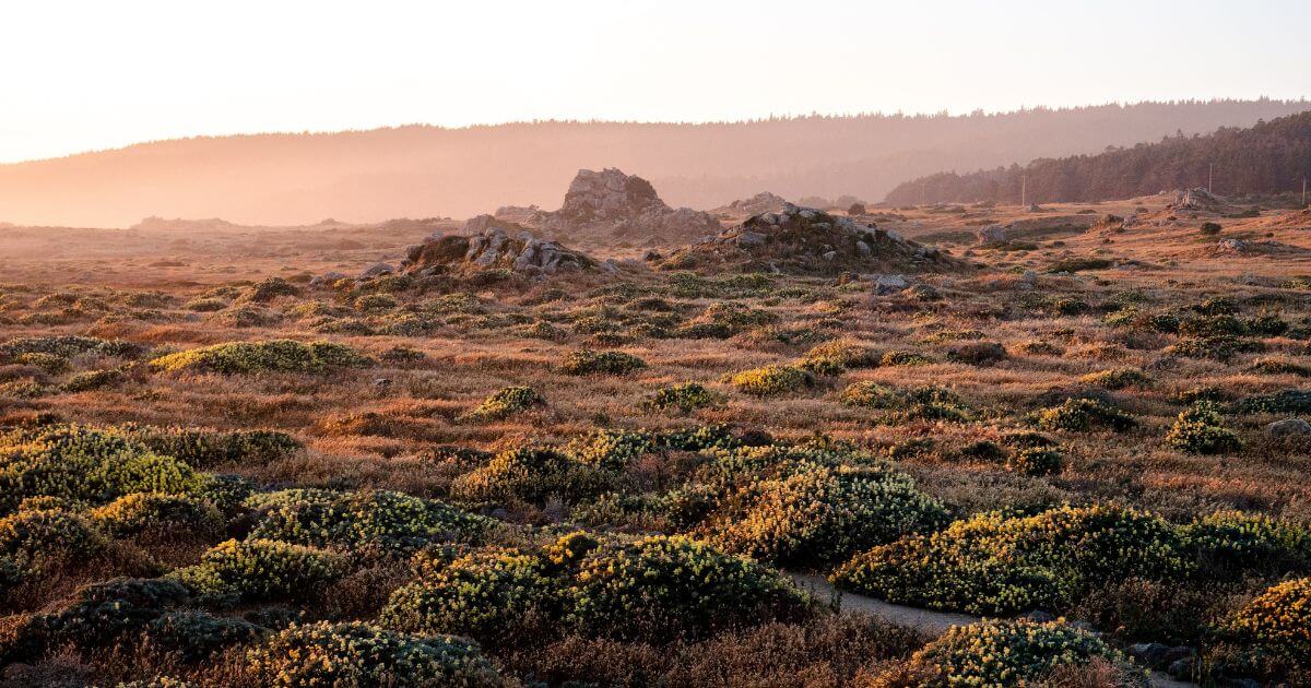 What does it mean to seek God's face?