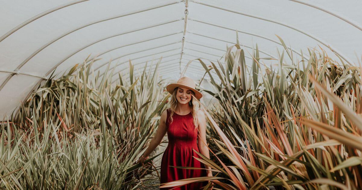 How can I seek first the kingdom of God?