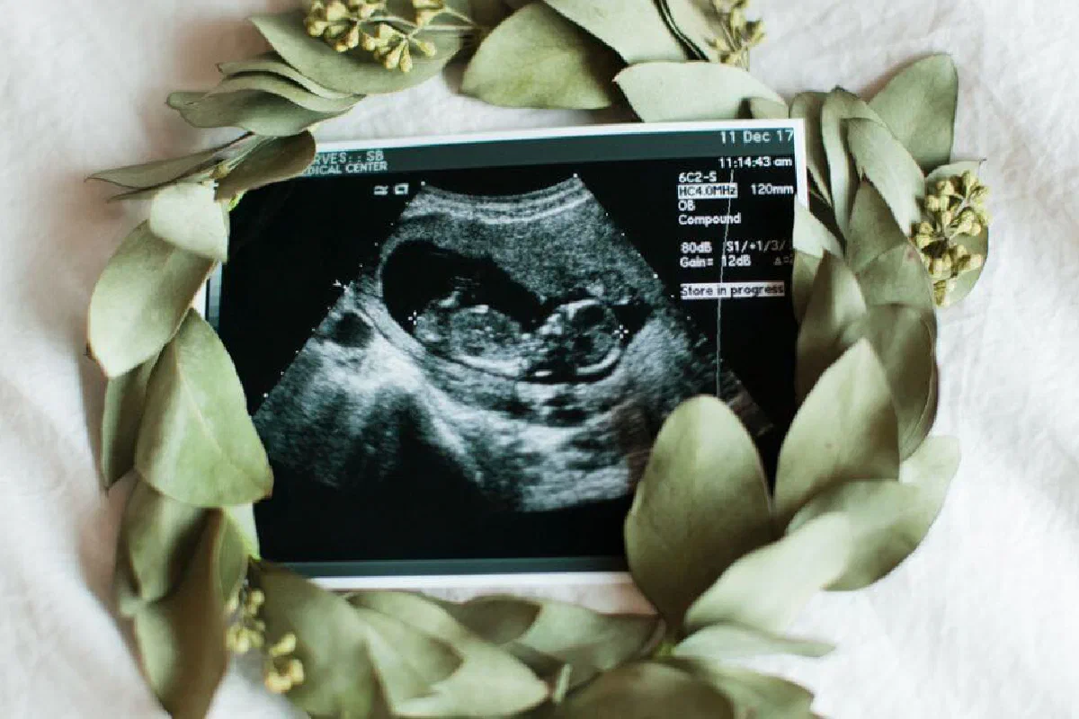 Does the Bible say anything about being a sperm/egg donor?