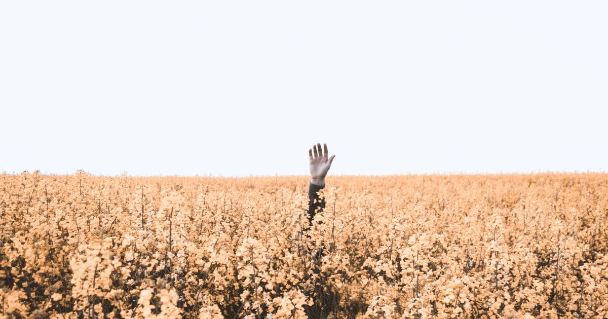 What does the Bible say about a strong delusion in the end times (2 Thessalonians 2:9-12)?