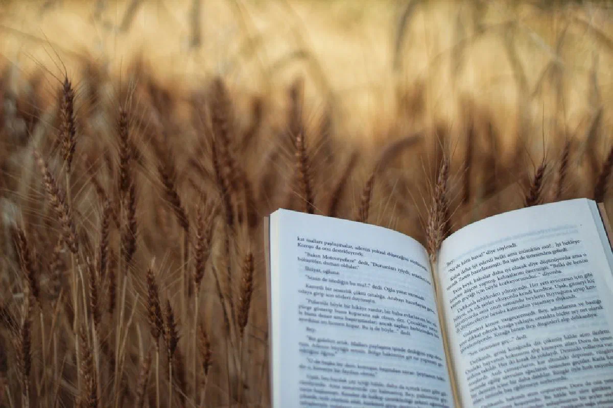 An open book laying in a wheat field, symbolizing relaxation and nature's beauty.