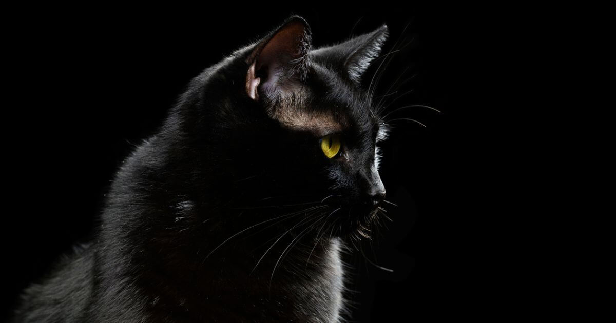 Superstitions – What does the Bible say?