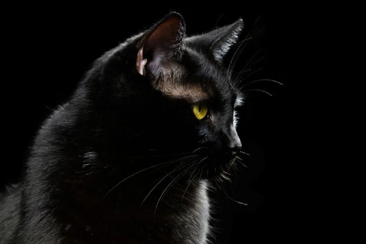 Superstitions – What does the Bible say?