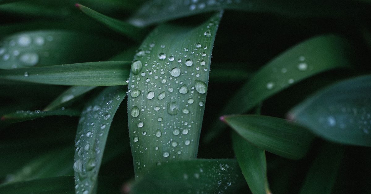 What are some of the symbols of the Holy Spirit used in the Bible?