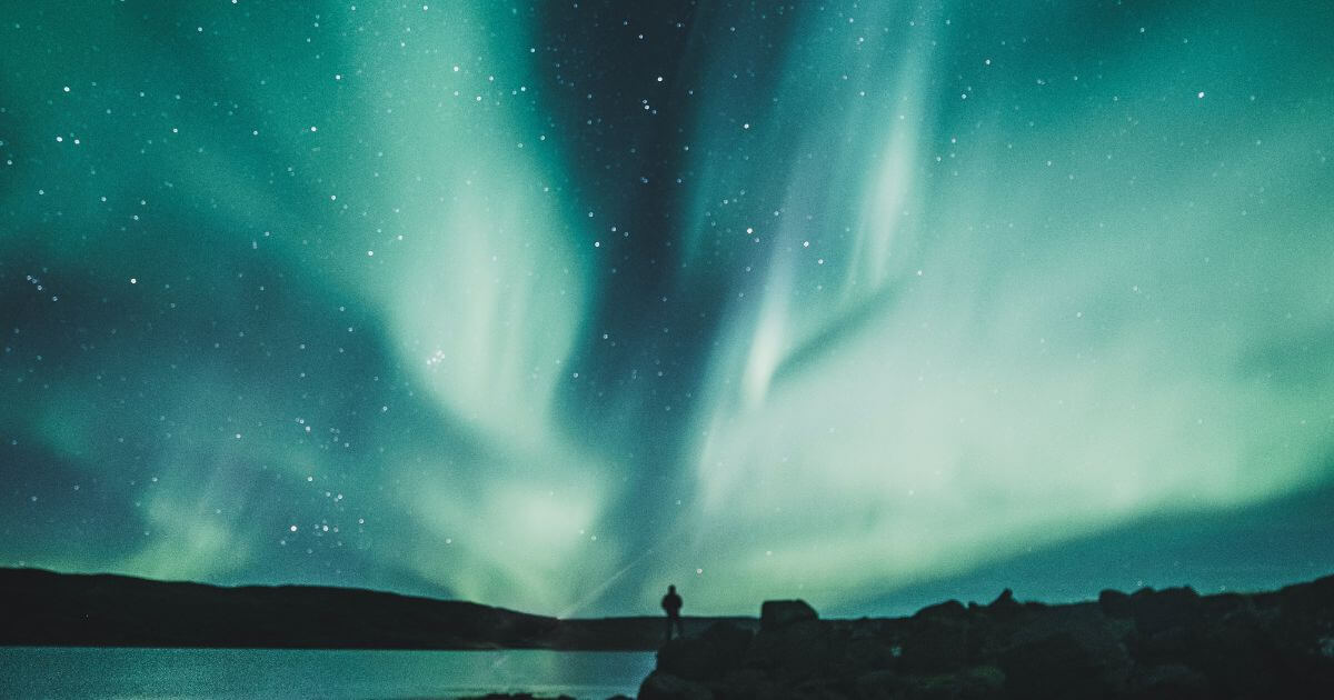 What does it mean to "take refuge under his wings" (Psalm 91:4)?