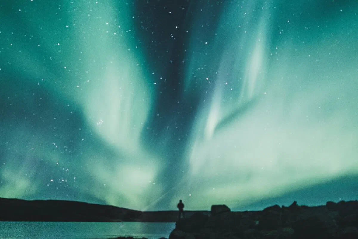 What does it mean to "take refuge under his wings" (Psalm 91:4)?