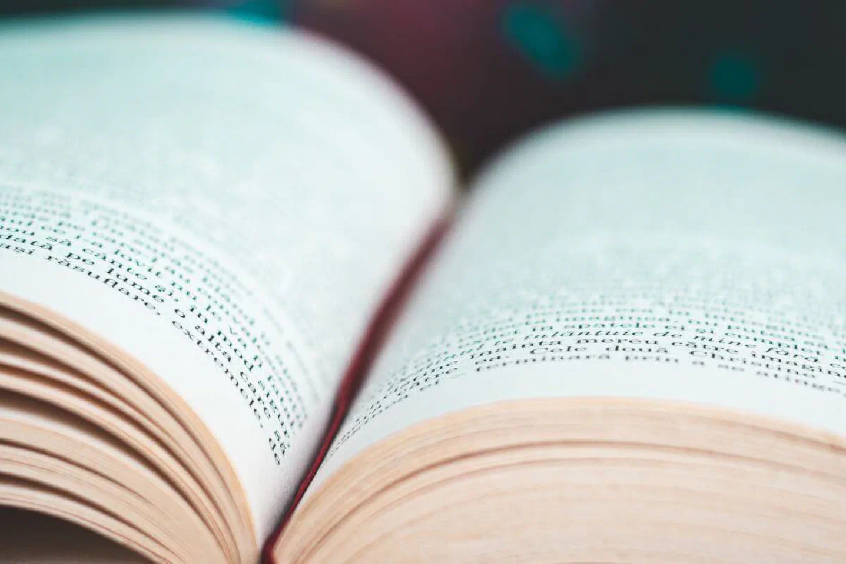 What is textual criticism?