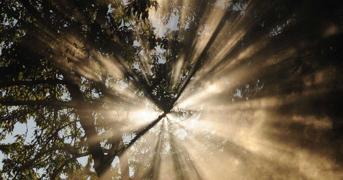 What does 'the Lord is my light and my salvation' (Psalm 27:1) mean?