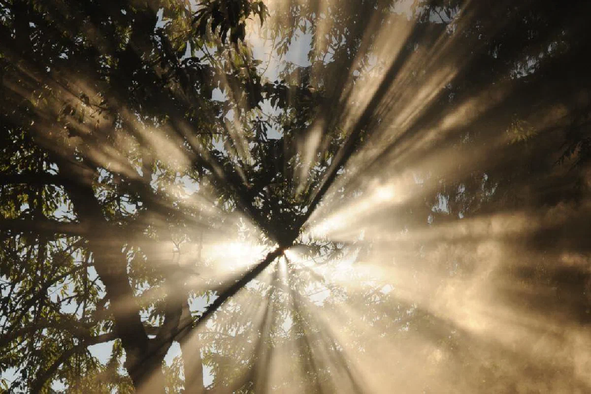 What does 'the Lord is my light and my salvation' (Psalm 27:1) mean?