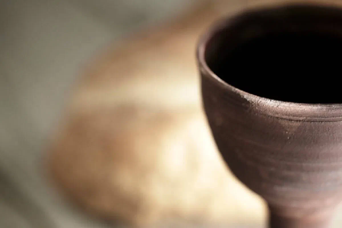 What did Jesus mean when He said 'This cup that is poured out for you is the new covenant in my blood' (Luke 22:20)?