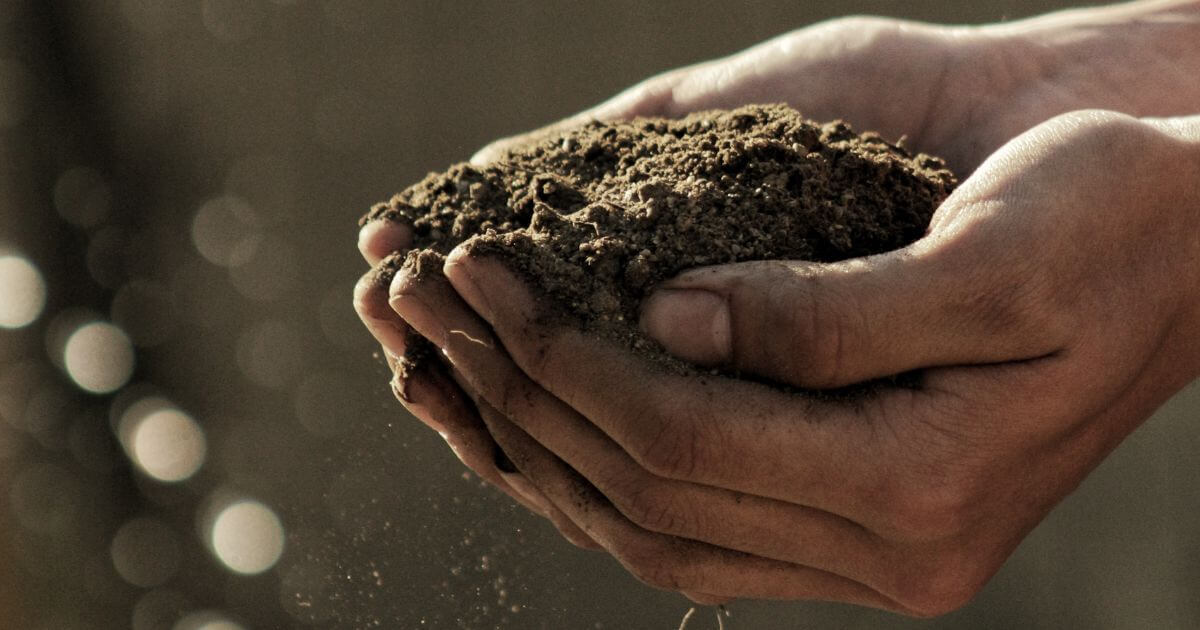 What does it mean when God tells Adam, 'For you are dust, and to dust you shall return' in Genesis 3:19?