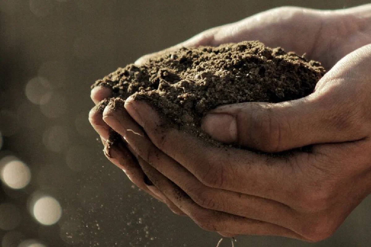 What does it mean when God tells Adam, 'For you are dust, and to dust you shall return' in Genesis 3:19?