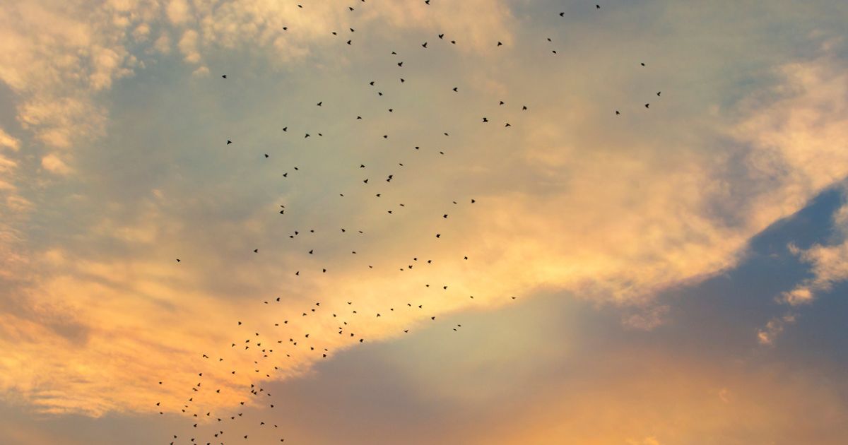 Is the concept of transmigration of souls biblical?