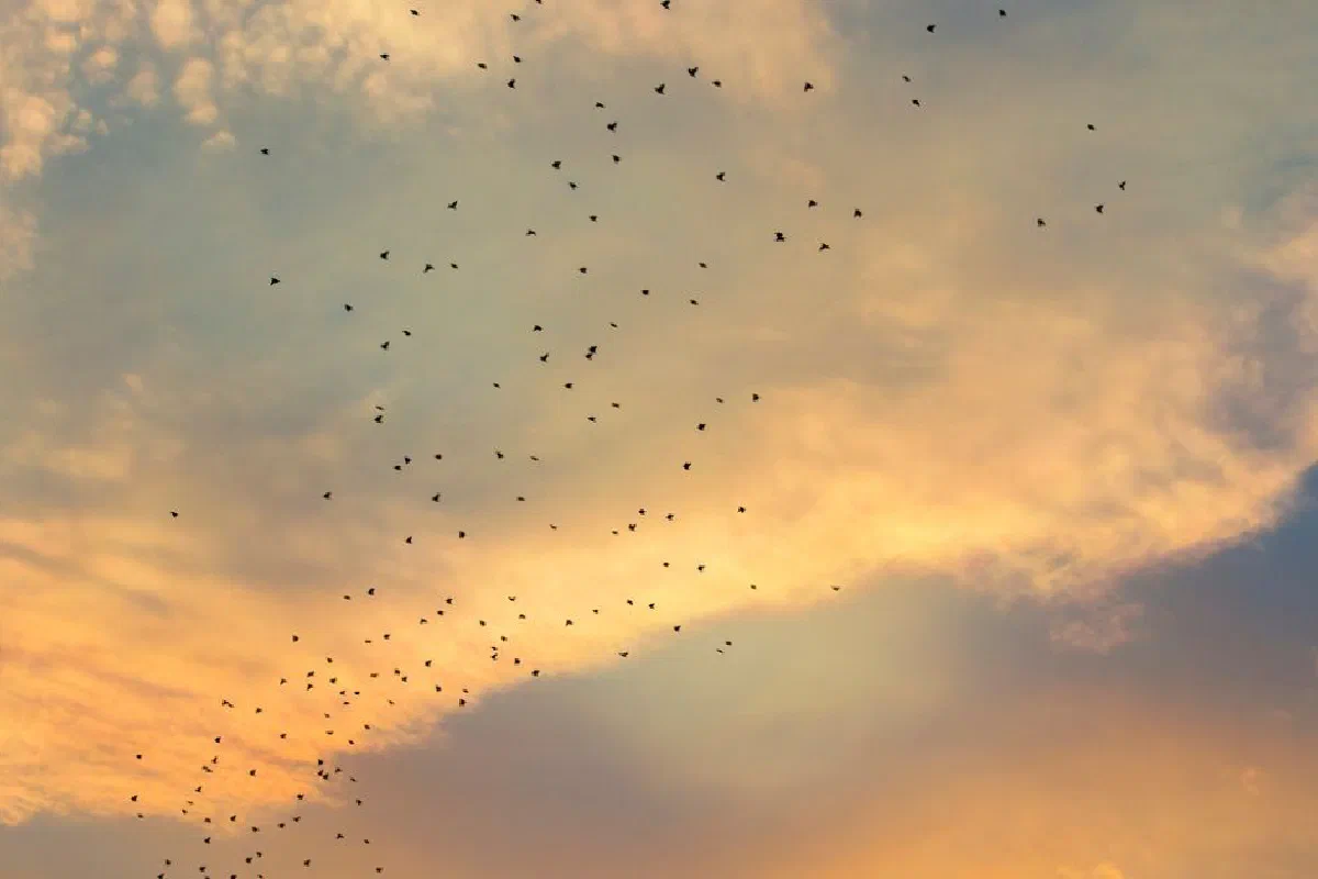 Is the concept of transmigration of souls biblical?