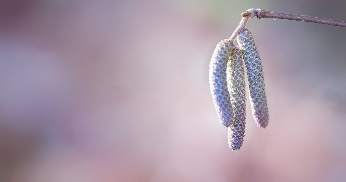 Is the Trinity really tritheism?