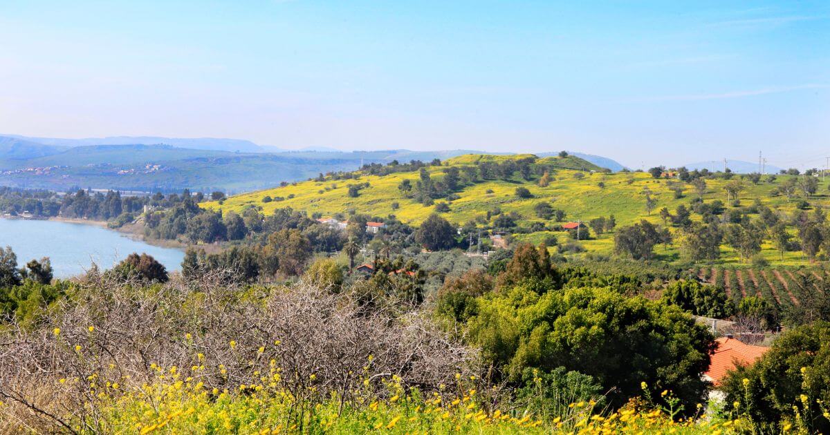 Why did the twelve spies go into the Promised Land?