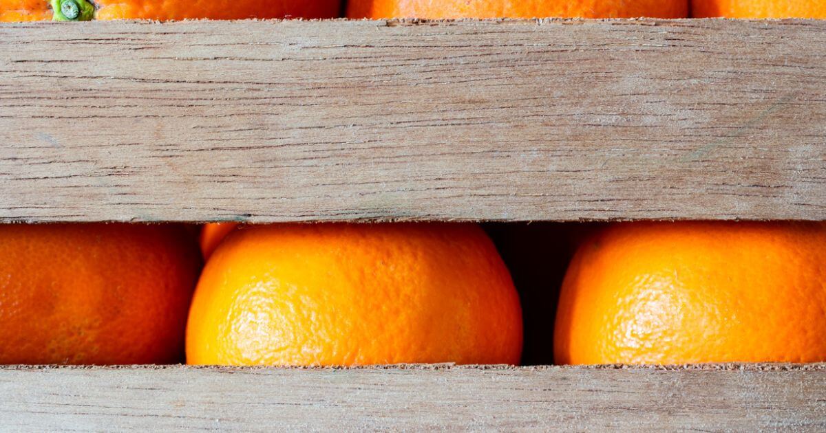 What are the unfruitful works of darkness (Ephesians 5:11)?