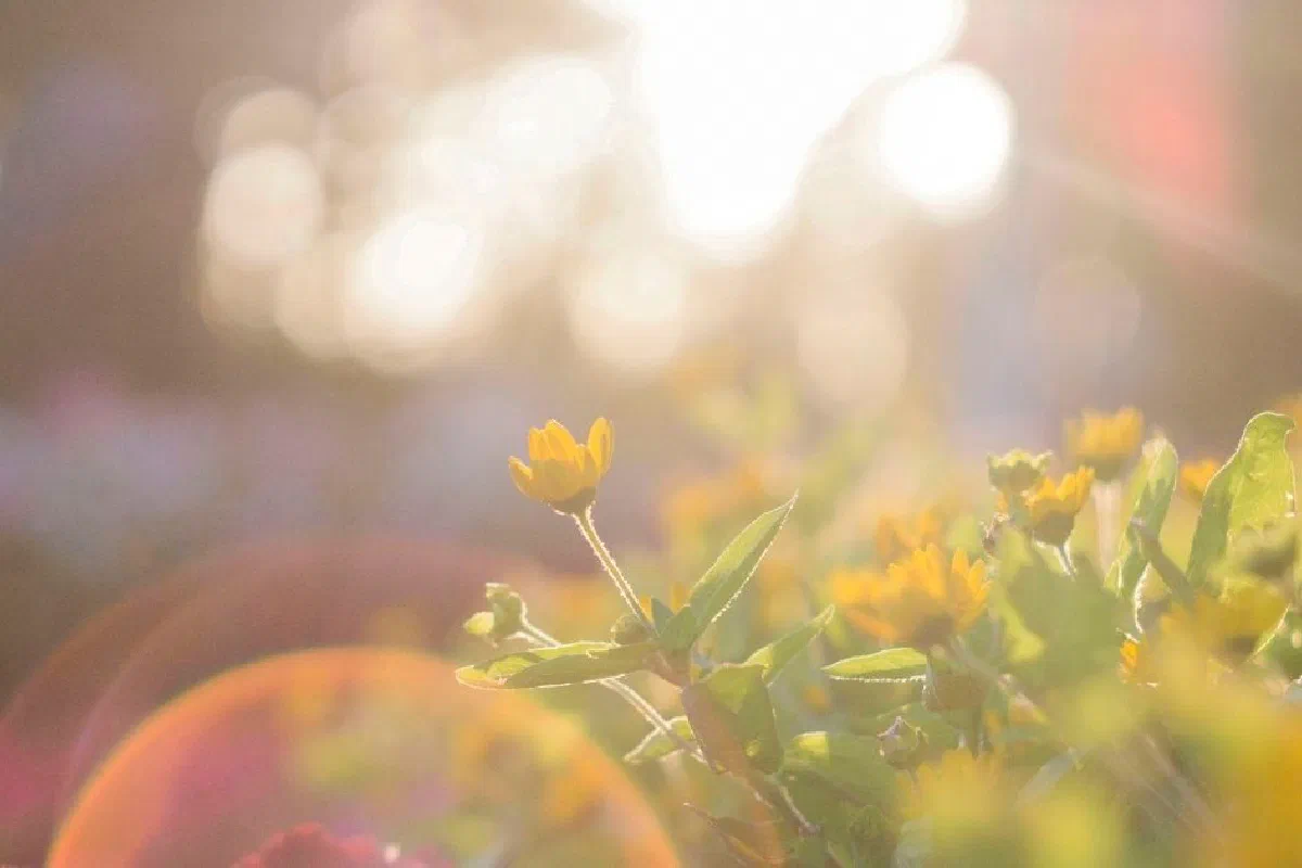 Was Jesus resurrected? How can you prove Christ's resurrection?