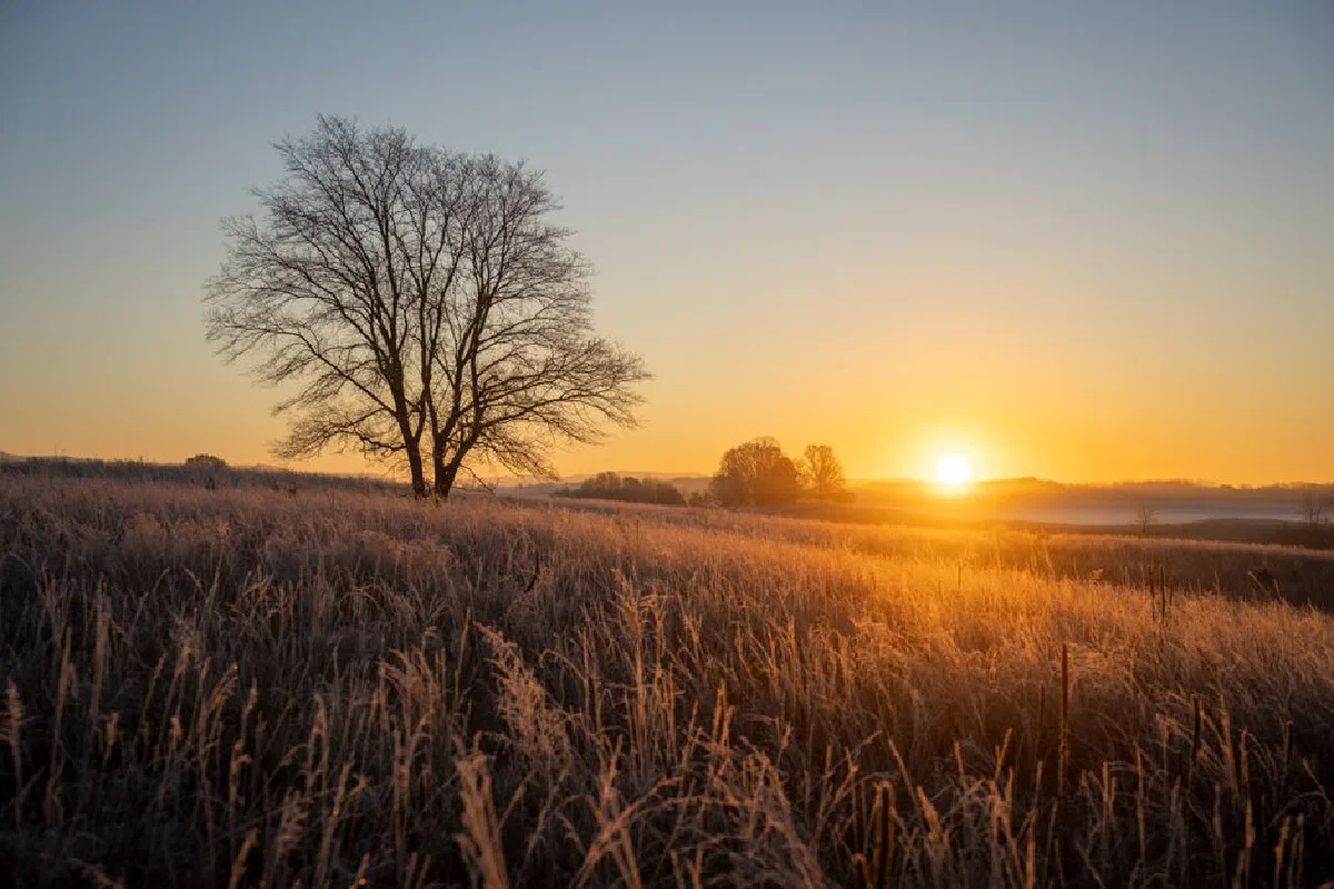 Beautiful sunrise over a frosty field in West Newton, MN, showcasing tranquil rural landscape.