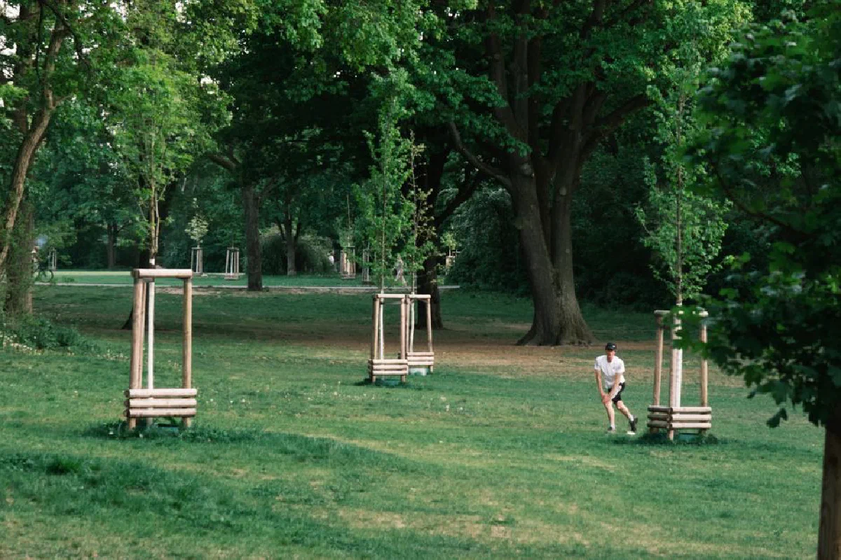 A person enjoying a leisurely summer day in a lush Berlin park surrounded by tall trees.