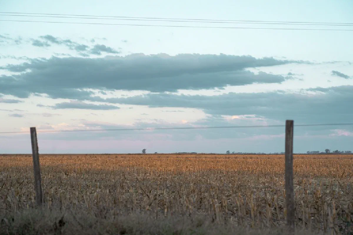 Peaceful rural scene of a harvested field during dusk in Córdoba, Argentina.