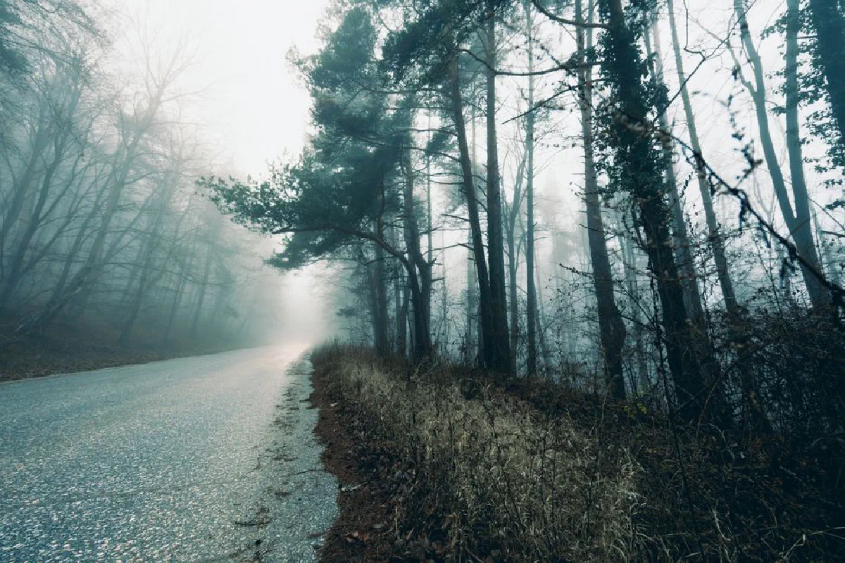 A mysterious rural road through a foggy forest, evoking a sense of mystery and solitude.