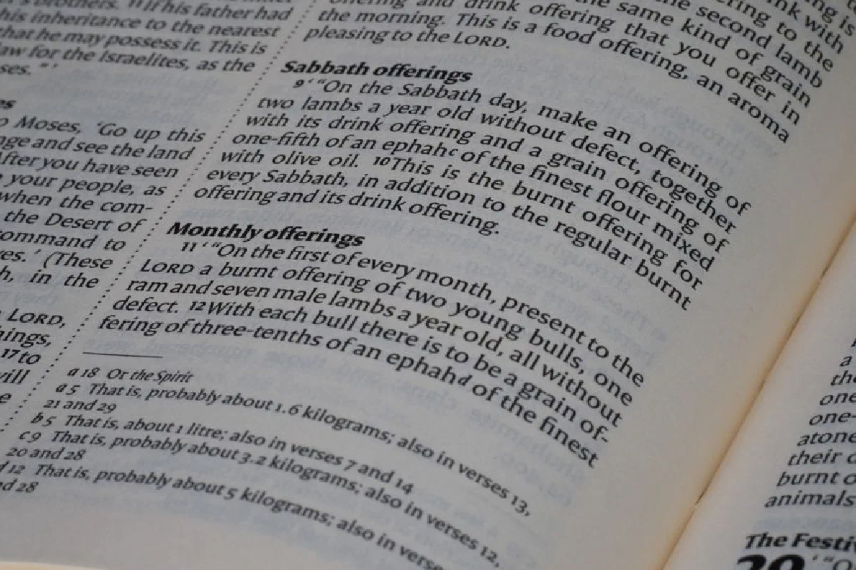 Close-up of open Bible displaying passages from the book of Numbers.