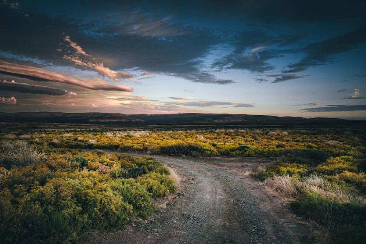 Tranquil desert landscape with dirt road leading to horizon at sunset, under vibrant sky.