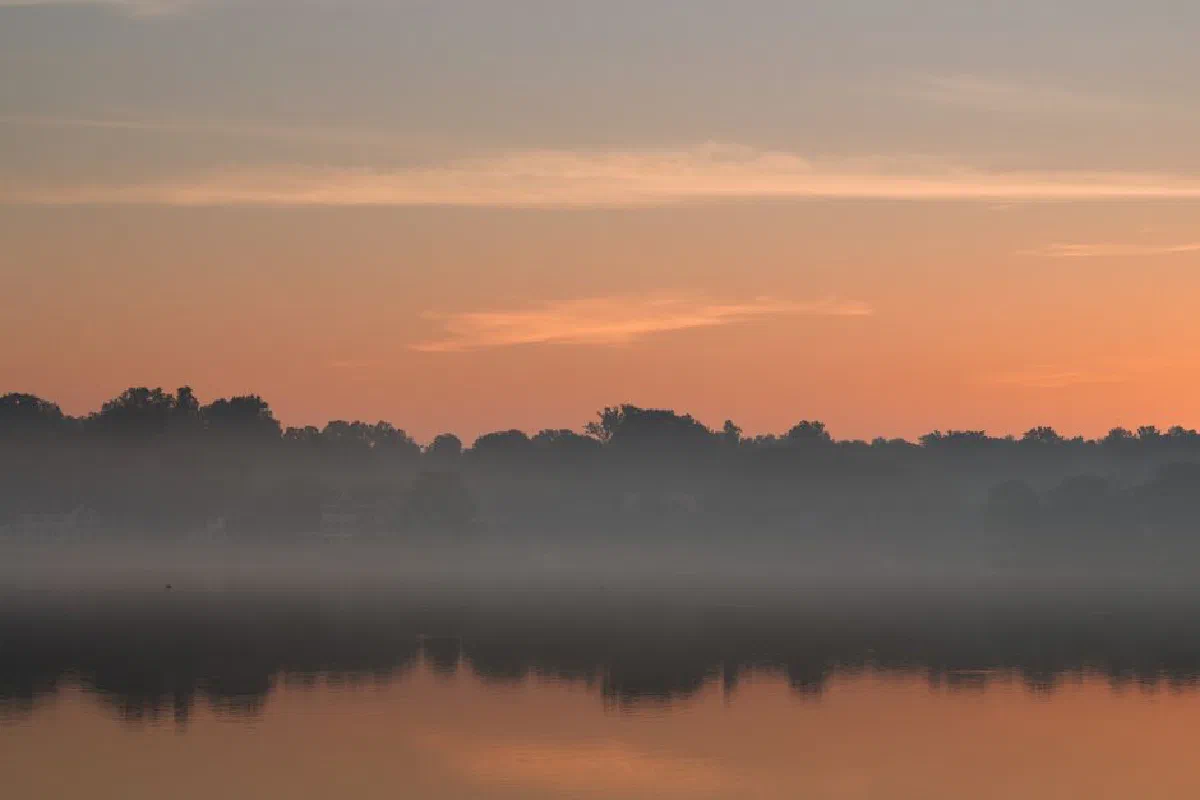 Enchanting foggy sunrise at Cove Island Park in Stamford, Connecticut showcases serene morning beauty.