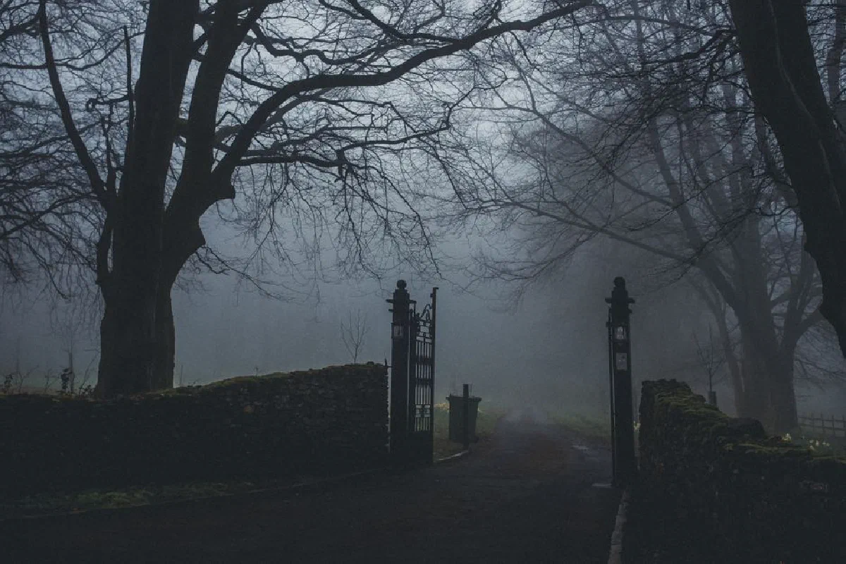 A foggy path through a gate surrounded by mist and trees in a mysterious forest setting.